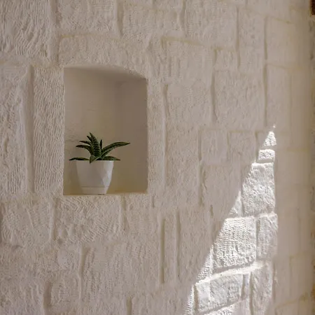 Echinousa Maisonette No3 * Kímolosz