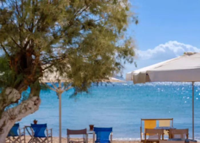 Echinousa Maisonette No3